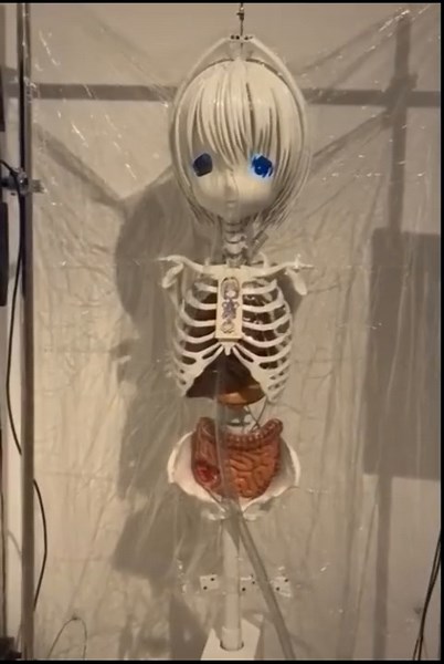#fyp #animegao