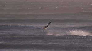 25K views · 643 reactions | Ouch... #kingoftheair | Red Bull Adventure | Facebook