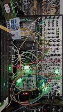 CTA Field Recording Modular Time Machine 1.31.2026