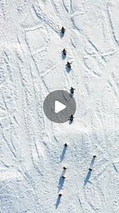 EARTH OFFICIAL on Instagram: "Adélie penguins tobogganing and waddling on sea ice 🇦🇶 Cape Hallett, Antarctica Video by @myeonghoseo"