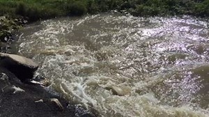 5.7K views · 38 reactions | This video shows water streaming through the Bonnet Carre Spillway, about 32 miles north of the city. The Army Corps of Engineers is considering whether to open it to keep areas downriver at or below flood stage. The move may happen as early as this weekend. Paul Murphy tells us some of the consequences if it's opened at 6 p.m. | WWLTV | Facebook
