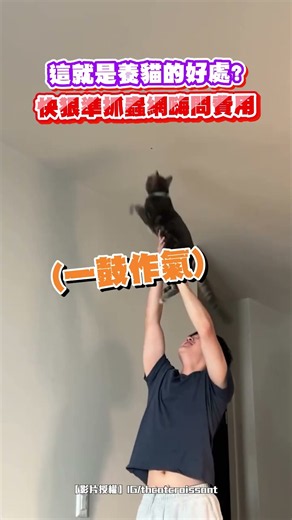 【有到府服務嗎】這就是養貓的好處？快狠準抓蟲網嗨問費用｜觸咪 #shorts @Truemii