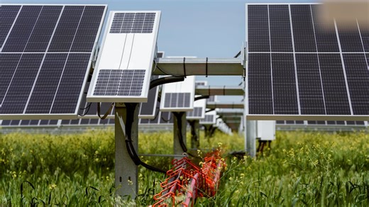 OPB’s First Look: Amazon’s bid for Oregon solar power