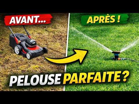 COMMENT AVOIR UNE PELOUSE PARFAITE ?