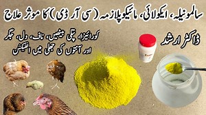 Chlortetracycline, Neomycin and Furaltadone for Chickens | Dr. ARSHAD | Dr. Arshad Veterinary Clinic