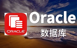 2021最新Oracle精讲 数据库系统概论完整版(基础篇+高级篇+新技术篇) MySQL+SQL+Oracle数据库整合教程 一台教程带你轻松学会数据库技术