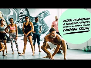 Crawling Patterns & Animal Locomotion Explained By Movement Pioneer & Budokon Founder Cameron Shayne