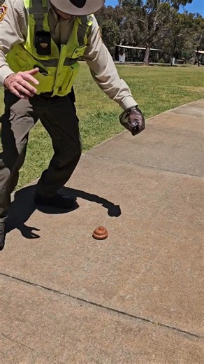 Ranger Pete shouldn’t have to do this for a living. But some of us keep forgetting the golden rule: 𝗶𝗳 𝘆𝗼𝘂𝗿 𝗱𝗼𝗴 𝗱𝗿𝗼𝗽𝘀 𝗶𝘁, 𝘆𝗼𝘂 𝗽𝗶𝗰𝗸 𝗶𝘁 𝘂𝗽. 💩 Spare our Rangers the chase (and the cardio). Keep Canning clean! Bag it, bin it, done. #SafeCanning | City of Canning