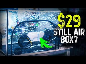 Still Airbox D1: Anatomy of SAB and unboxing of low tech mycology kit