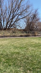 Stay active with Mr. Ness! In this week's video, Elementary Principal Brian Ness shares his plan to keep moving outside - encourage your students to join him by running laps in your neighborhood and posting how you'll run 379 laps this spring! | Heritage Christian Academy