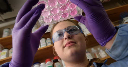 Cell, Molecular, and Developmental Biology major – Purdue University