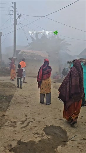 Stm Village on Instagram: "यहाँ अलार्म नहीं, चिड़ियों की आवाज़ से दिन की शुरुआत होती है। . #villagelife #goodmorning #morningvibes #villagemorning #gaonkisubah"