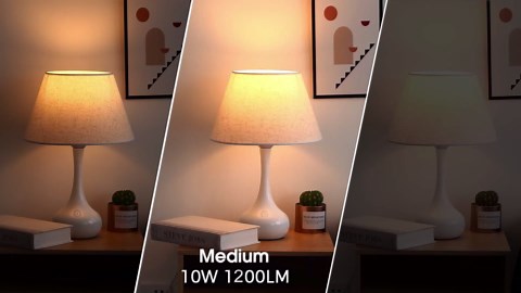 Briignite 3 Way LED Light Bulbs, 4 Pack, Soft White 3000K 50/100/150 Watt Equivalent, A19 Three Way Light Bulbs, E26 Base 3-Way Light for Indoor Light Bulb for Reading