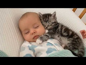 This Baby & Kitten Sleep Compilation Will Melt Your Heart ❤️🐾