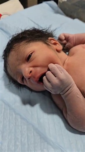Little hunger bird 👼👼 #JUNIOR #adorable #cutebaby #curious #cute #baby #love #babycare #trending #trendingreels #viralreels #facebookreelsviral #babybirth #FacebookReelsContest #facebookreels #reels #shorts | Global Nursing Profession