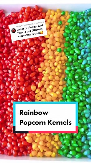 Replying to @lisasexton00 Have you ever dyed popcorn kernels for sensory play? #kidideas #sensoryplay #sensorybinideas #diy #itscorn #kidplayideas #preschool #teacher