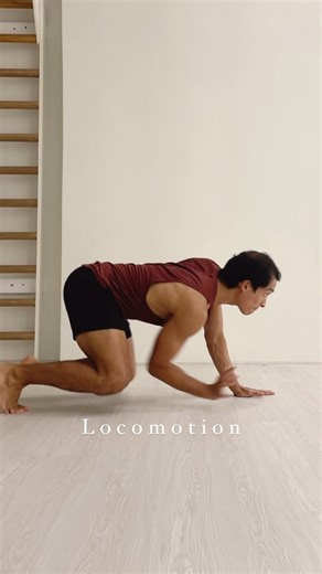 Locomoción 🏃🏻🐆 Locomoción es la capacidad que tenemos de desplazarnos de un lado a otro, en este caso, utilizando nuestro cuerpo. Nuestro cuerpo, siendo tan complejo y adaptable, tiene la capacidad de desplazarse de muchísimas formas, siendo algunas más eficientes para el día a día (como caminar sobre los pies) y otras más interesantes para nuestro desarollo físico y mental (como en cuadrupedia, o sobre manos). Aquí te muestro algunos de los movimientos aislados dentro de mi práctica de locom