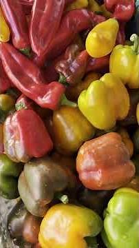 12 Best Foods for Kidney Health 💧 Keep Your Kidneys Clean Naturally!