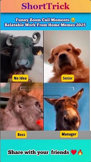 Funny Zoom Call Moments 😂 | Relatable Work From Home Memes 2025 #ZoomCall #FunnyMemes #WorkFromHome