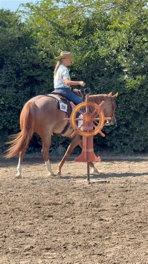 27K views · 551 reactions |  Our Tropical Ranch Trail Course is in...