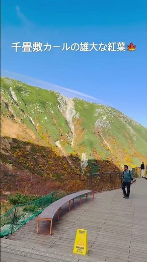 標高2612m。日本一高所の駅「千畳敷駅」を降りると、目に飛び込む「千畳敷カール」の紅葉🍁 #紅葉 #日本の絶景 #日本の風景 #t千畳敷カール #千畳敷