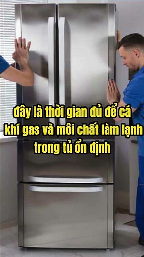 How long should you wait before plugging in the refrigerator after moving it? - Phan Thanh Vinh #...