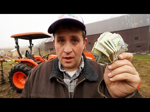 How Much Money I Made Farming