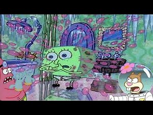 Spongebob Edited - Suds