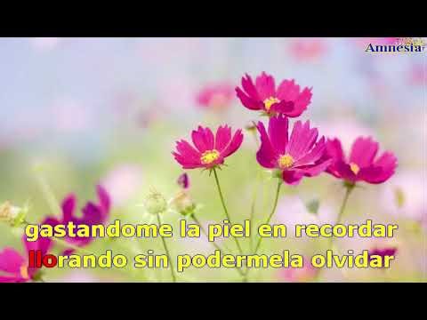 José José - Amnesia -==Karaoke–Videoke - Playback