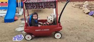 Mr Man BEST Memories ❤️🙏🏼👏🏽❤️ | 𝔽𝕒𝕟𝕔𝕪 & 𝔽𝕖𝕝𝕚𝕔𝕖