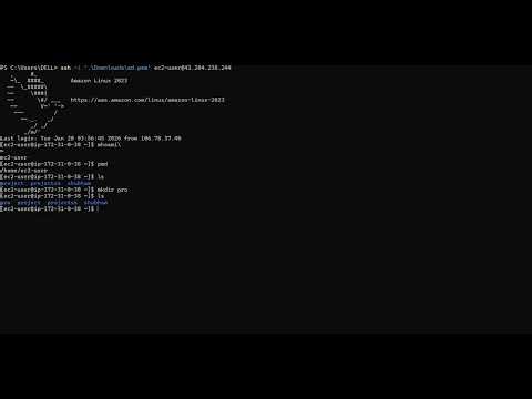 4: Master the Linux Terminal: Basic Commands & C-R-U-D #day 4 aws