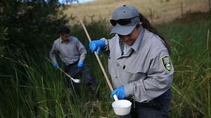 What is West Nile virus?