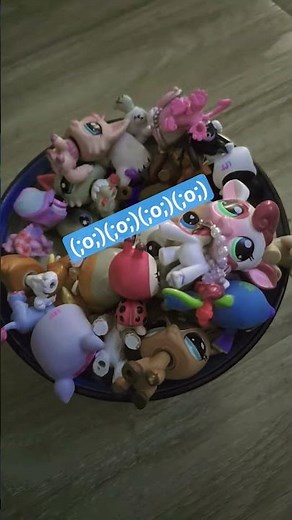 my little pet shop...