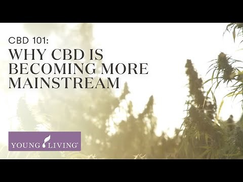 CBD 101: Why CBD is Becoming More Mainstream | Young Living Essential Oils