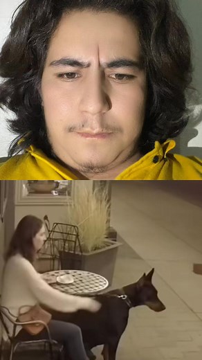 223K views · 10K reactions | Brave Dog Protects His Owner ❤️ | True Loyalty in Action This brave dog didn’t think twice before saving his owner!  Dogs truly are our best friends ❤️ Watch till the end — this moment will melt your heart! #DogProtectsOwner #BraveDog #DogLoyalty #AnimalHeroes #DogsAreFamily #ViralDogVideo #EmotionalMoment #DogLovers #CuteDogs #RealHero | Baltee fun & crazy | Facebook