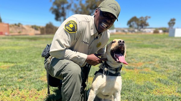 Sheriff's Department 'Bomb Dogs' strut their stuff