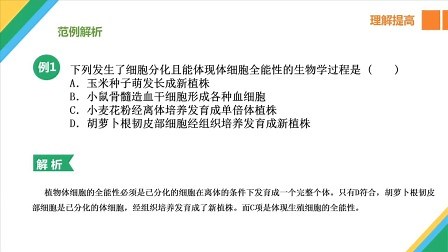 细胞的全能性及应用 理解提高