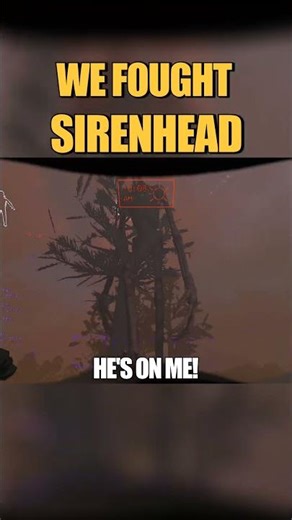 WE ATTACKED SIREN HEAD - Lethal Company Mods