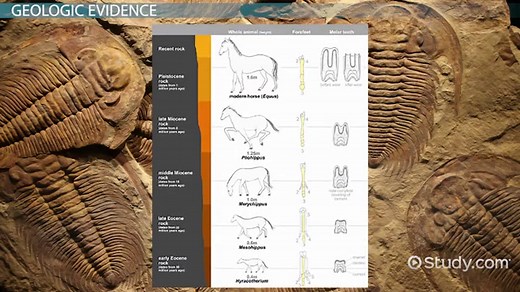 You must c C reate an account to continue watching