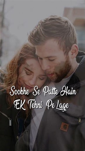 b praak song |dil toor ke song |hindi song #yt #shorts #song