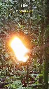 HIKING through the AMAZON JUNGLE!