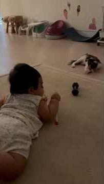 7-Month-Old Luke & Penny the Cat: Learning Through Play! 🐾👶