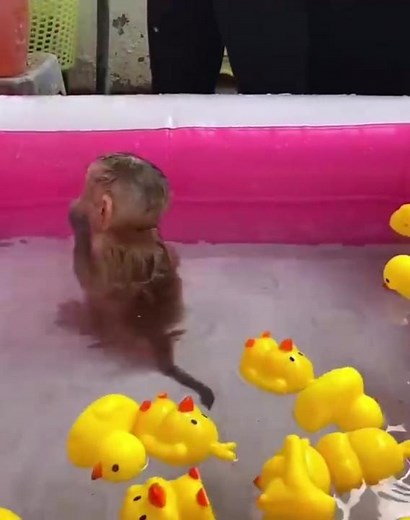 Tài khoản được đề xuất