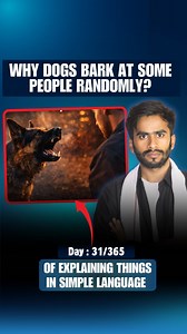 Why Do Dogs Bark at Certain People . #adityarajanand #theadityaph | Aditya Raj Anand