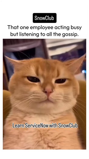 SNOW CLUB | Learn ServiceNow with SnowClub and open multiple career opportunities ✨️🎓 #servicenowtraining #servicenow #snowclub #servicenowai... | Instagram