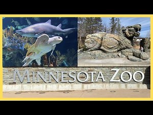 Minnesota Zoo Walk Tour Spring 2022 | Apple Valley, MN | Visit Minnesota