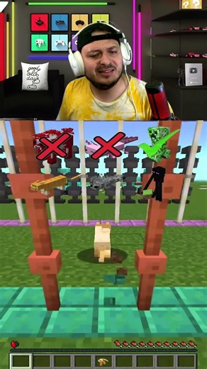TESTE COM OS MOBS DO MINECRAFT! 👀