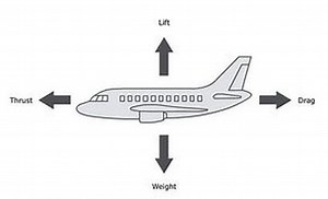 The Principles of Flight