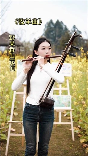 Master the Art of the Whip: A Melodious Mountain Journey