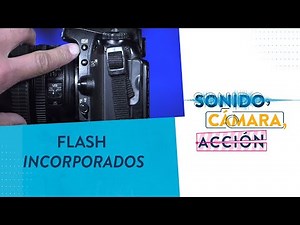 Maneja el flash incorporado Cámaras Nikon | Conceptos Básicos 6 | CMA